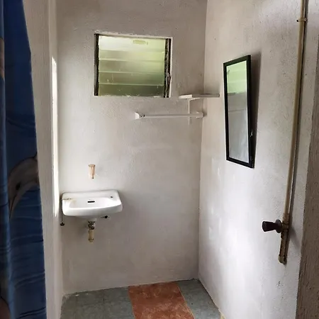 Mario'S Scuba Diving And Homestay Apo Island Exterior photo